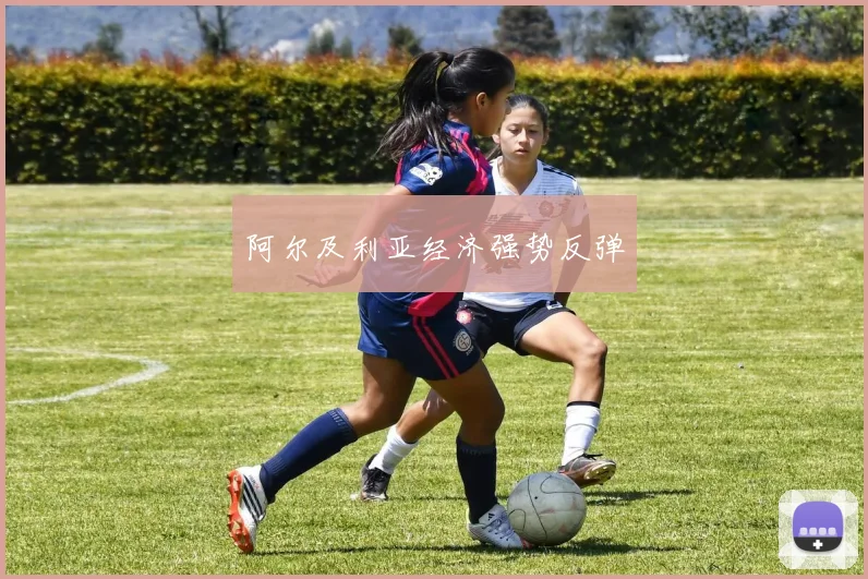 阿尔及利亚经济强势反弹