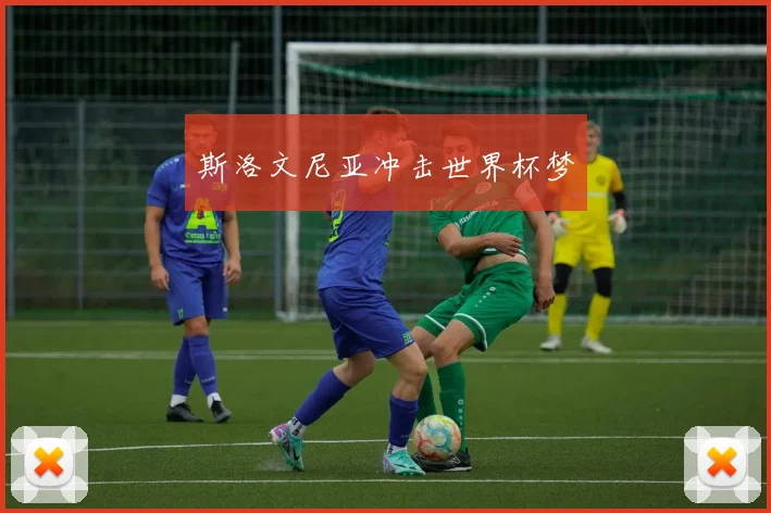 斯洛文尼亚冲击世界杯梦