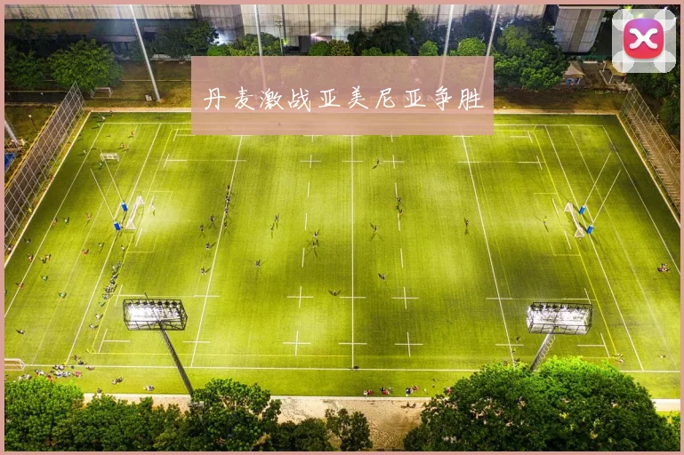 丹麦激战亚美尼亚争胜