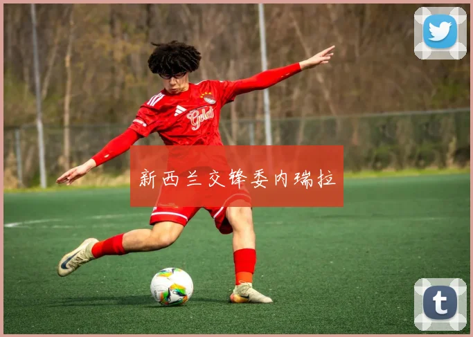 新西兰交锋委内瑞拉