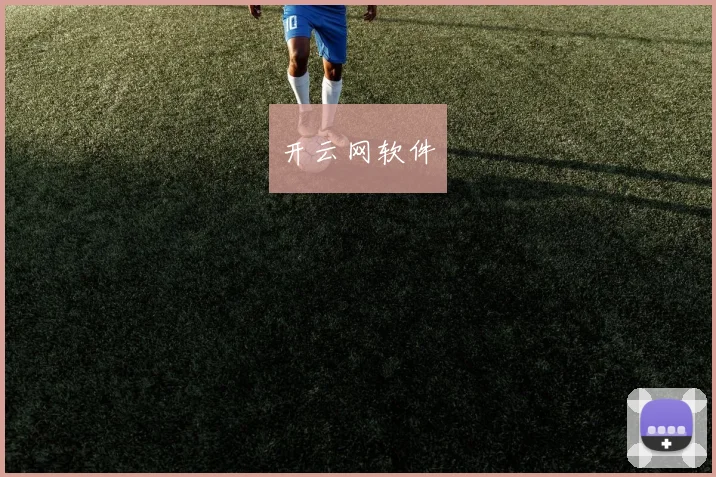 开云网软件