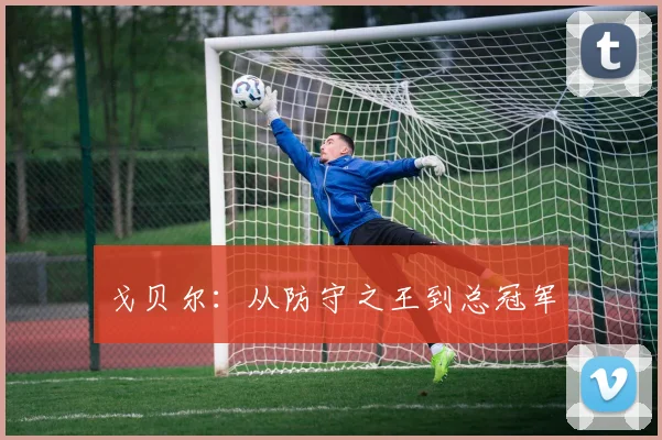 戈贝尔：从防守之王到总冠军