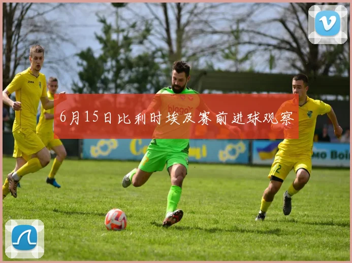 6月15日比利时埃及赛前进球观察