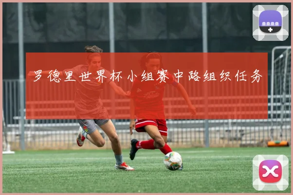 罗德里世界杯小组赛中路组织任务