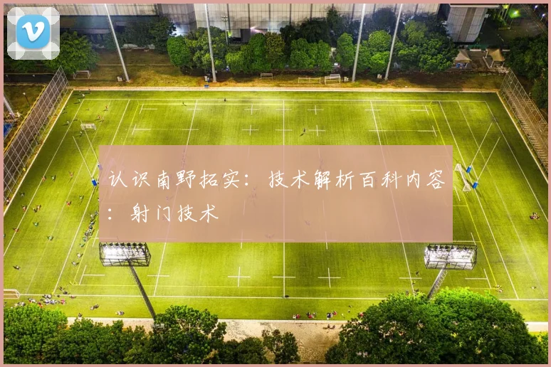 认识南野拓实：技术解析百科内容：射门技术