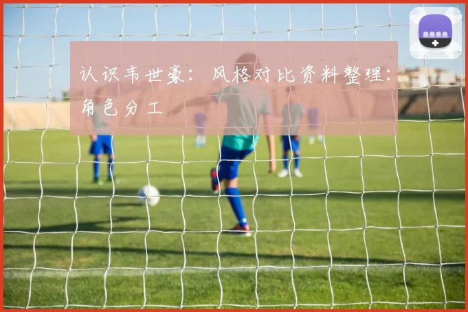 认识韦世豪：风格对比资料整理：角色分工