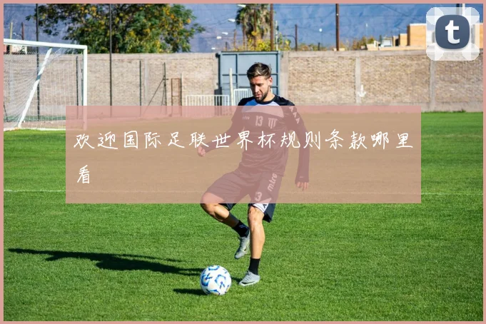 欢迎国际足联世界杯规则条款哪里看