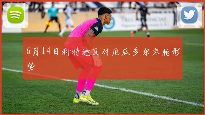 6月14日科特迪瓦对厄瓜多尔末轮形势