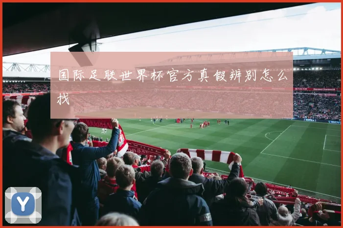 国际足联世界杯官方真假辨别怎么找